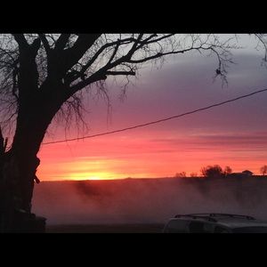 Meet your Posher, Nina